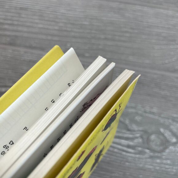 Vintage 1950s Golden Guide Insects Nature Book Detailed Realistic Illustrations - Picture 8 of 10